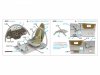 Quinta Studio QD32207 I-16 Type 29 3D-Printed coloured Interior on decal paper (ICM) 1/32
